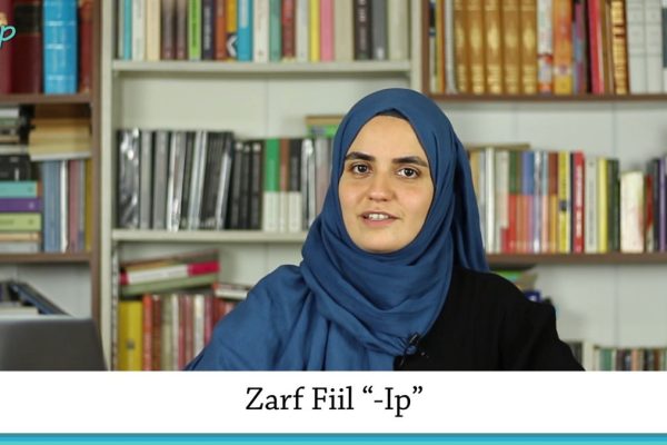 ıp